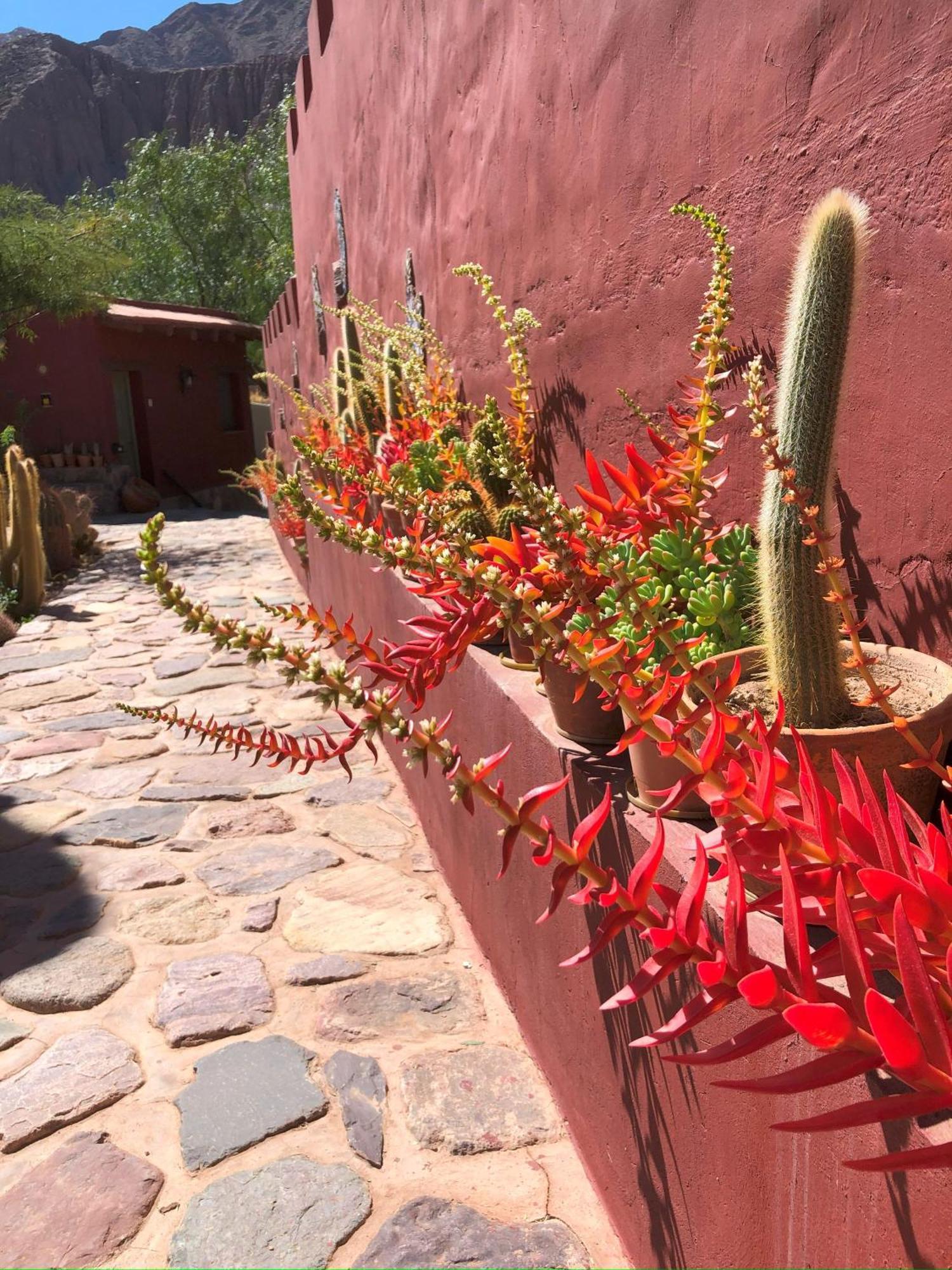 Posta de Purmamarca Bed & Breakfast Exterior foto