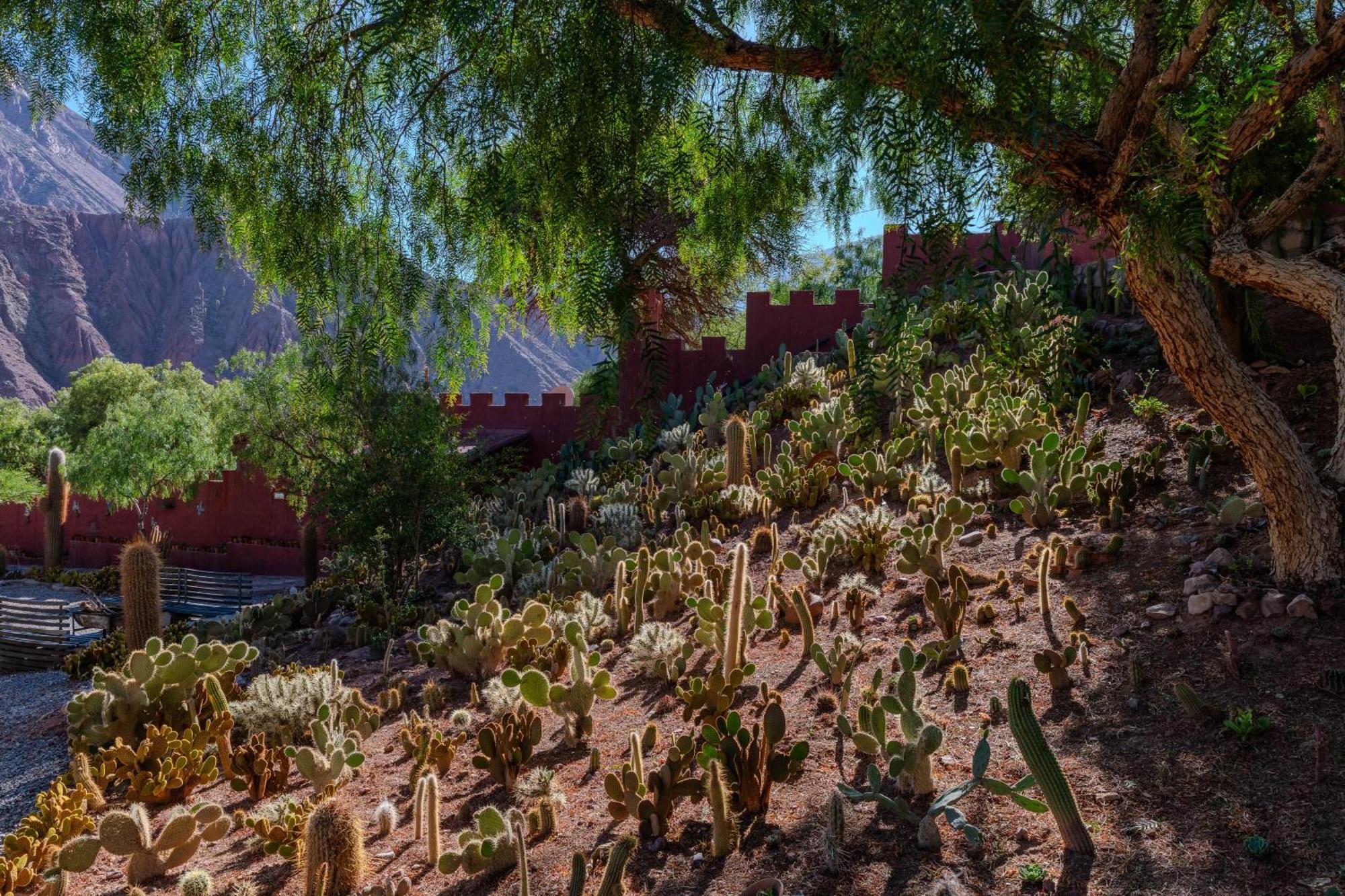 Posta de Purmamarca Bed & Breakfast Exterior foto