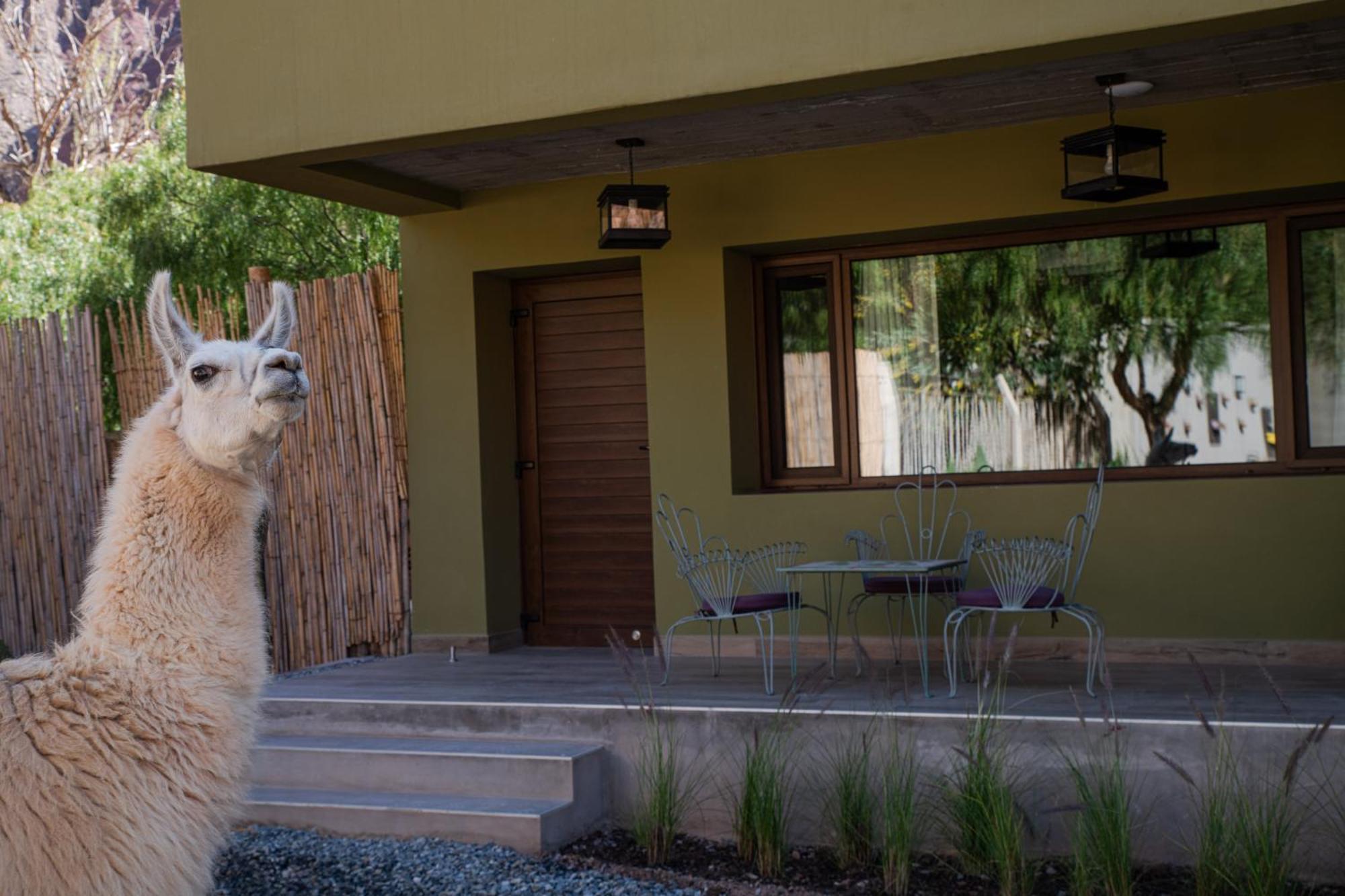 Posta de Purmamarca Bed & Breakfast Exterior foto